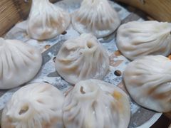 -莱莱小笼·乔艾