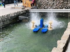 -京北渔家傲