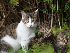 -苏州河梦清园环保主题公园