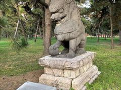 -北陵公园