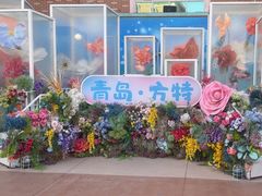 -青岛方特梦幻王国