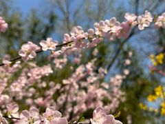 -元大都城垣遗址公园