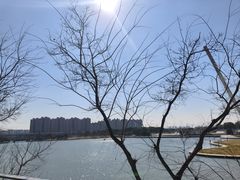 -映月湖中央公园