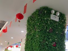 -学知乐教育·幼小衔接·小学科辅导(嘉定镇校区)