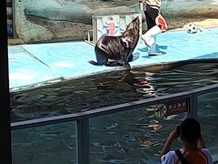 -泉州海丝野生动物世界