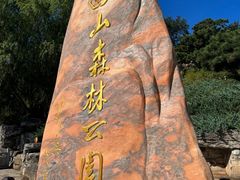 -北京西山国家森林公园