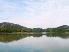 -长广溪湿地公园