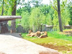 -北京野生动物园