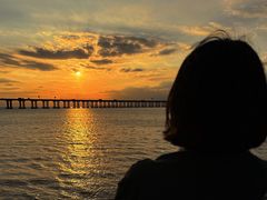 -宝安西湾红树林湿地公园