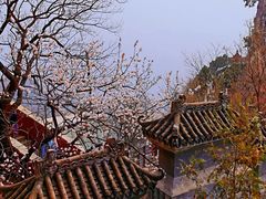 -圣莲山风景区