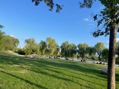 -洛阳市隋唐城遗址植物园