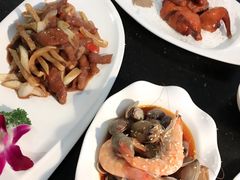 -云中小雅