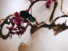 -耳艺采耳·足疗(东圃店)