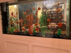 -旺顺阁海鲜广场(亚运村店)