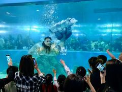 -苏州海洋馆