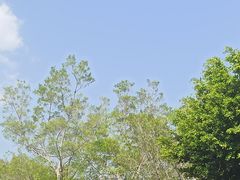 -厦门海湾公园游乐场