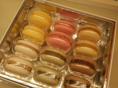 -好利来(团结湖店)