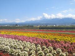 -富田农场