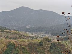-锄山村