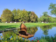 -上海共青森林公园