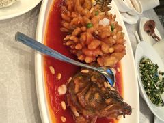 -新南华大酒店(长寿店)