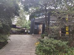 -MAMACHA妈妈茶(岳麓山店)