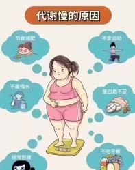-丽减美瘦吧·减肥瘦身