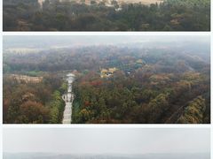 -宜兴龙背山森林公园