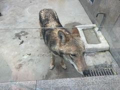 -西安秦岭野生动物园