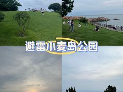 -小麦岛公园