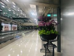 -曼谷素万那普国际机场
