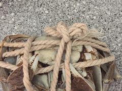 -蟹都汇(龙舟店)