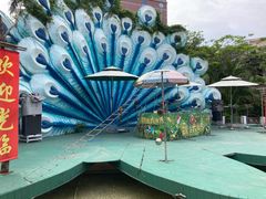 -灵玲国际马戏城