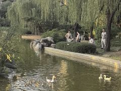 -木塔寺遗址生态公园
