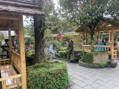 -青城甲(青城山店)