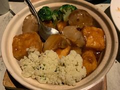 日式香菇豆腐煲-T館·花园艺术餐厅