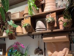 -自由生长植物工作室(深港花卉中心店)