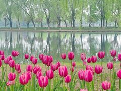 -石家庄市植物园
