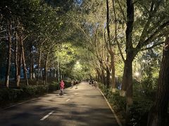 -长白岛森林公园