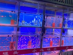 -中环花鸟鱼虫市场