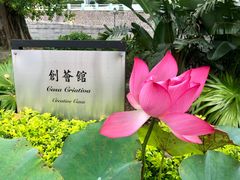 -龙环葡韵住宅式博物馆