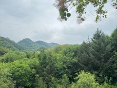 -九如山休闲旅游度假区