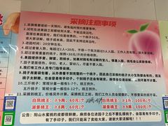 -老袁家蜜桃农场·阳山水蜜桃