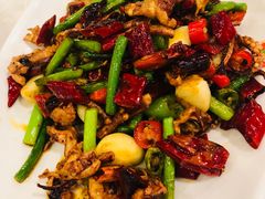 香辣鱿鱼-金家老三饭庄(常营店)