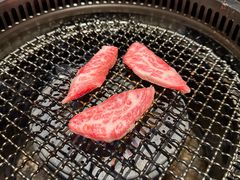 -和牛放题的殿堂 肉屋横丁(秋叶原店)