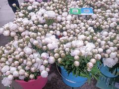 -循礼门鲜花花市(武汉循礼门店)