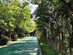 -迎泽公园
