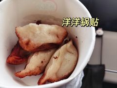 -洋洋锅贴