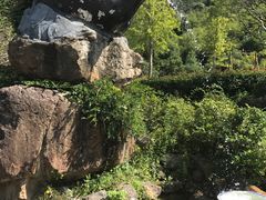-东海大峡谷