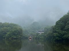 -张醪糟
